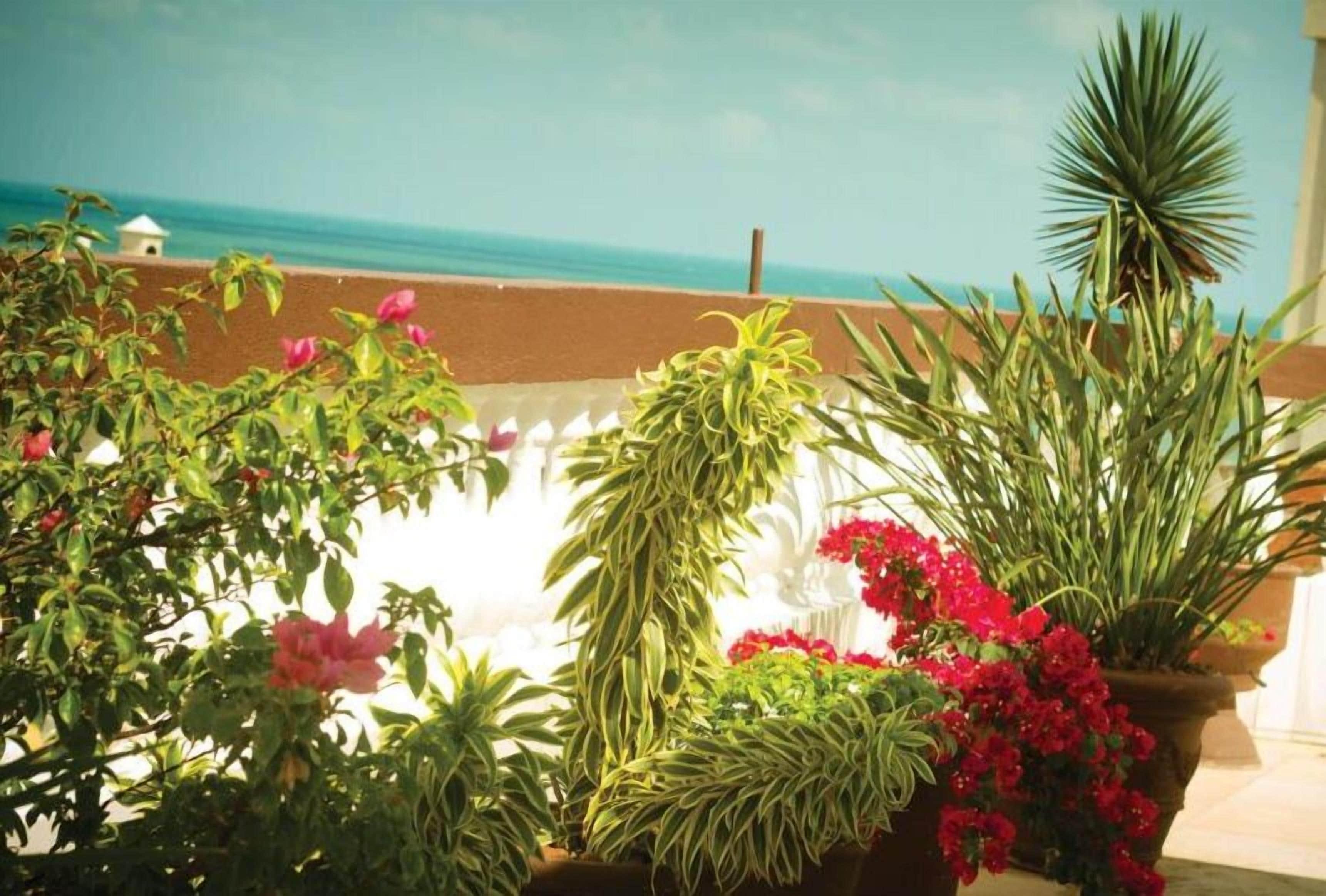 Algarve Hotel Fortaleza (Ceara)